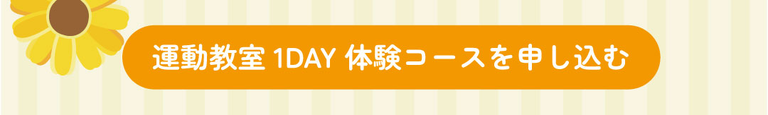 1day体験
